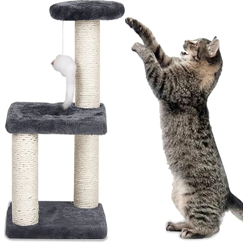 Pet Toys & Exercise