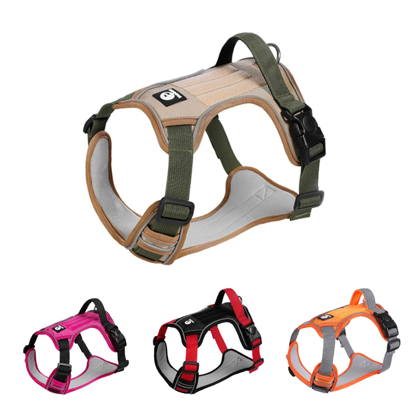 Pet Tech Ecosystem