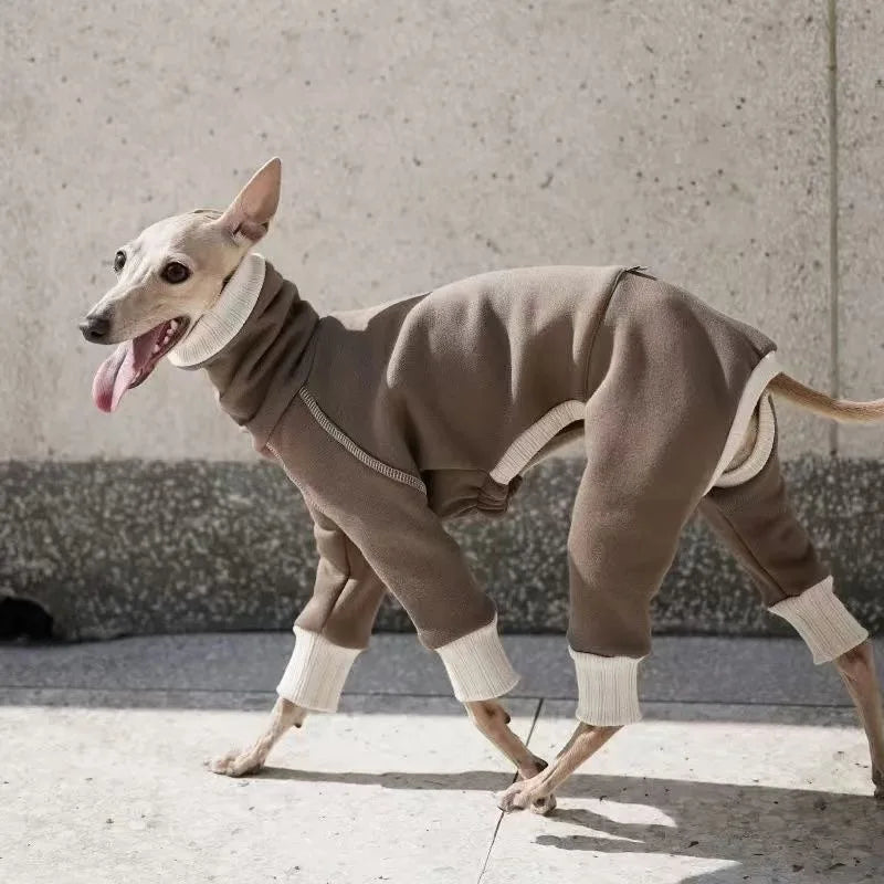 Pet Clothes