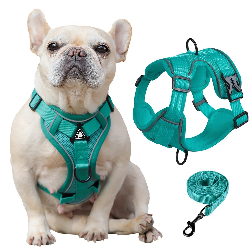 Dog Cat Harness and Lead Set, Adjustable Kitten Puppy Harness and Lead Set with Reflective Strips Escape-Proof Pet Vest Harness