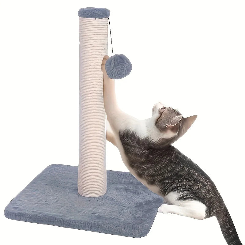 Cat Scratching & Climbing